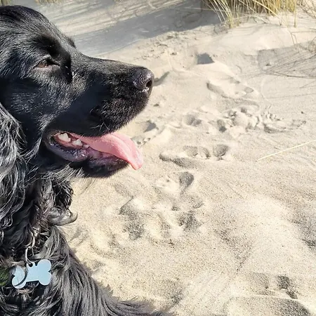 Сasa de vacaciones Luxury Retreat Near - By Traum Husby